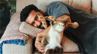 Vicky Kaushal gets clicked by Katrina Kaif on Sunday; fans say, 'What's the use of my jealousy' Thumbnail