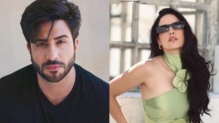  Aly Goni drops a significant hint about the reason for his breakup with Natasa Stankovic: 'Voh cheez mujhe…' Thumbnail