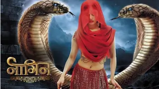 Naagin 7 expected to launch in January 2025: Report