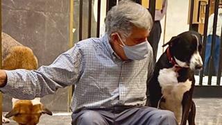 Ratan Tata no more: The Titan's pet dog 'Goa' attends last rites; sources reveal he has not eaten anything thumbnail