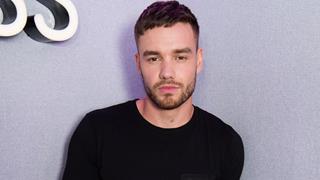 Liam Payne's Death: Buenos Aires Security Ministry Releases Key Update on Alleged Hotel Balcony Incident  Thumbnail