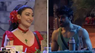 Bigg Boss 18: Avinash Mishra Criticizes Shalini Passi's Remark on Not Watching Television Thumbnail