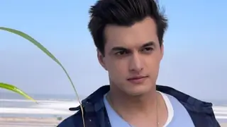 Contrary to reports, Mohsin Khan to NOT be a part of Khatron Ke Khiladi 15 Thumbnail