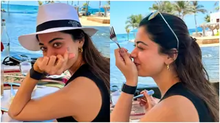 Rashmika Mandanna shows her signature heart pose in her 29th birthday celebration post; See PICS