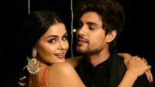 Priyanka Chahar Choudhary SLAMS GOSSIP around rumoured breakup with Ankit Gupta: 'If only work..'