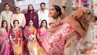 Happy Ambani, the beloved pet of Anant Ambani passes away: Throwback to his memorable moments with the tycoon 
