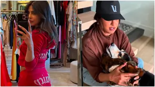 From playtime with pets to enjoying with friends, Priyanka Chopra shares cute pics from her 'quick trip home'