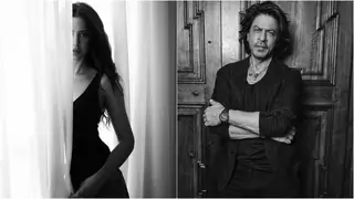 Shah Rukh Khan's King, Border 2, Ramayana and more: Upcoming Bollywood projects with top-notch casting thumbnail