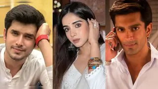 From Paras Kalnawat to Karan Singh Grover: Actors who were OUSTED from their shows & what they are upto today