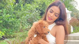 Sonyaa Ayoddhya on wanting to stay long enough to create safe haven for street dogs: 'Not to save them but..'