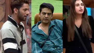 Opinion: From mattress in pool to insults in air; Why 'Bigg Boss 19' feels like the first real season in years