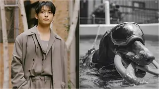 BTS's Jungkook's dog Bam becomes target of hateful comments for this shocking reason? 