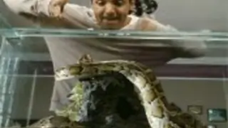 All animals used in 'Housefull 2' fake: John Abraham Thumbnail