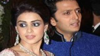 No free time for Riteish, Genelia until March