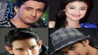 Ravi Ojha to roll out  'Ek Daal Par Tota Bole'  on Star Plus