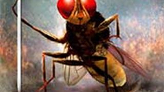 Hindi version of Telugu hit 'Eega' hits screens Oct 12