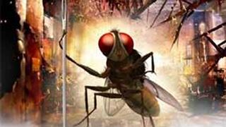 'Eega' director Rajamouli keen to make Bollywood film