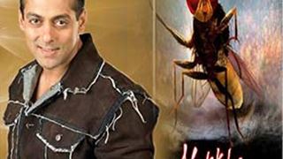 Salman touch to 'Makkhi'