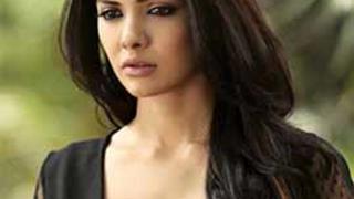 Lovemaking scenes not big deal in India: Pakistani actress Thumbnail