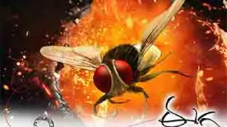 'Eega' takes foreign film fests by storm thumbnail
