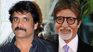 Working with Big B learning experience for Nagarjuna