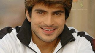 Rahil and Siddharth walk out of Pearl Grey's upcoming show?