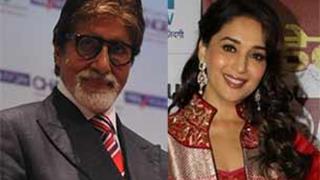 Madhuri hopes to act with Big B one day Thumbnail