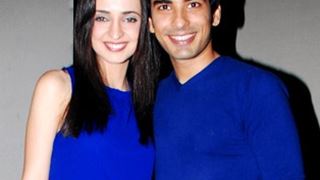 Mohit Sehgal & Sanaya Irani plan to spend a quiet evening together on Valentine's Day!