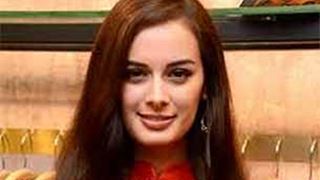 Being a foreigner in Bollywood has been positive: Evelyn Sharma