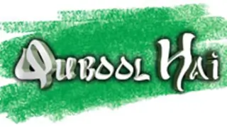 Qubool Hai completes 400 episodes! Thumbnail