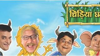 Chidiya Ghar goes the Filmy way...