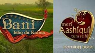Bani to end on a happy note; Meri Aashiqui Tumse Hi to go on air from June 24!