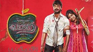 Tamil Movie Review : Vadacurry Thumbnail