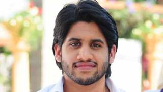 Haven't found anything concrete for Tamil debut: Chaitanya