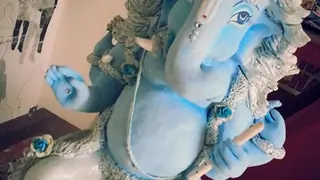"I am very much fascinated towards elephant" - RaQesh Vashisth Thumbnail