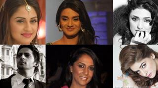 TV Celebs who have declined Bigg Boss 8!