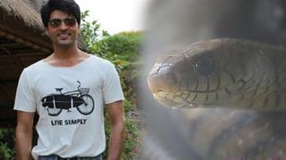 Anas Rashid's tryst with a snake!