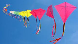 #KiteFlyingFestival: Enjoyment for us but harmful for birds! thumbnail