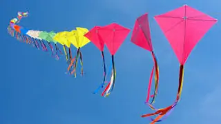 #KiteFlyingFestival: Enjoyment for us but harmful for birds! thumbnail