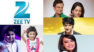 Karan Wahi to host a special Valentine's episode of  Zee TV! Thumbnail