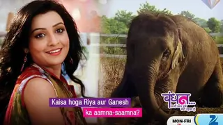Love to bloom soon between Raghav and Riya in Bandhan! Thumbnail