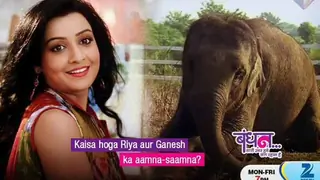 Riya to regain her memory in Bandhan! Thumbnail