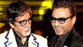 Irrfan wants to again work with Big B