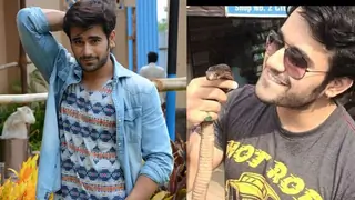 Pearl tackles snakes on the sets of Badtameez Dil