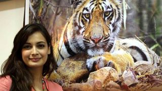 Dia Mirza does her bit to 'Save Our Tigers'