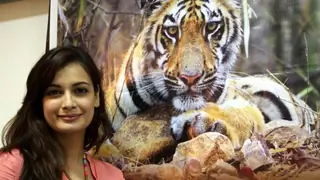 Dia Mirza does her bit to 'Save Our Tigers' thumbnail