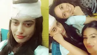 Back in Action! Thumbnail