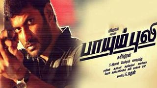 'Paayum Puli' release stalled