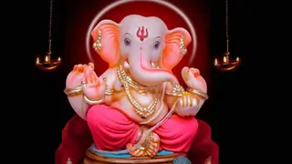 Let's maximise Ganesh Chaturthi, but minimise pollution: B-Town Thumbnail