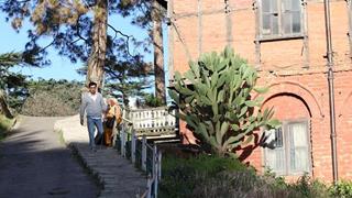 Ranbir's nostalgic solitary strolls in Shimla! Thumbnail